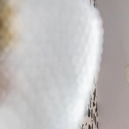 Pop Dijon